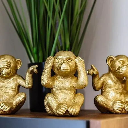 Luximo * Veliko Tarnovo